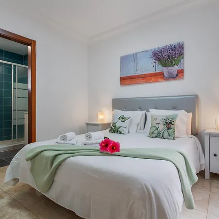 Rolycar 101 Icod De Los Vinos