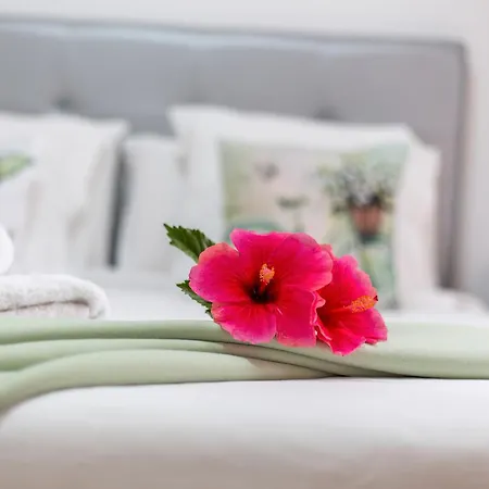 Rolycar 101 * Icod De Los Vinos