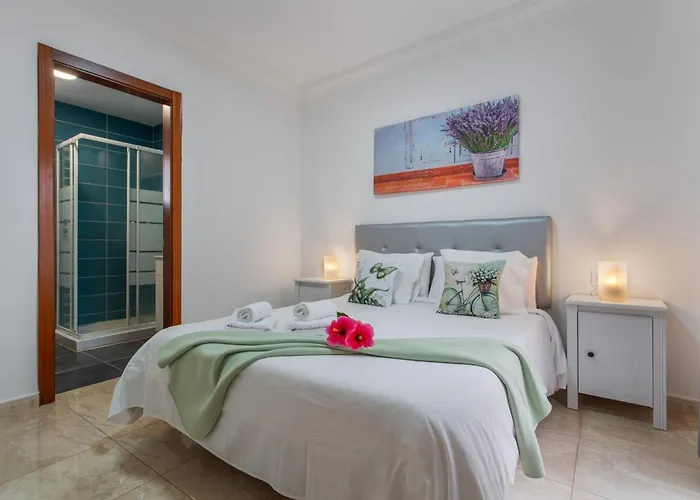 Rolycar 101 伊科德·德·洛斯·维诺斯