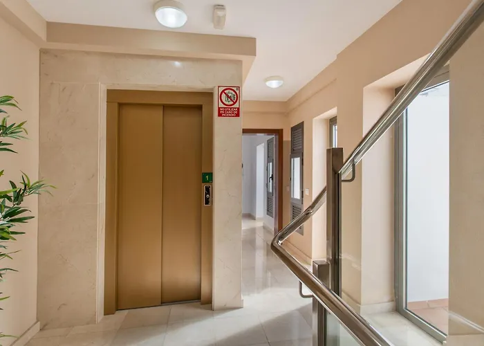 Rolycar 101 * 伊科德·德·洛斯·维诺斯