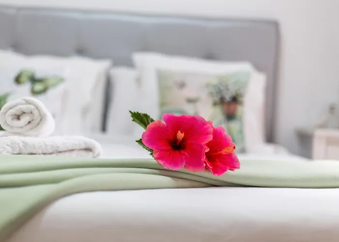 Rolycar 101 * Icod De Los Vinos